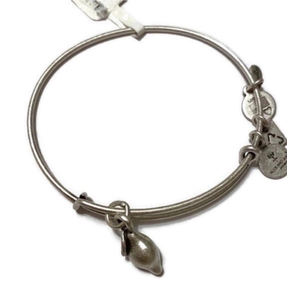 Alex and Ani Zest for Life Bracelet